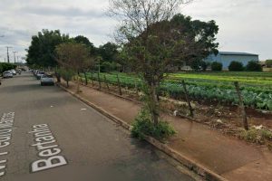 Desentendimento familiar em horta termina com mulher ferida em Iracemápolis