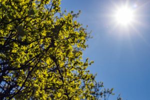 Calor marca sexta-feira e chuva retorna no fim de semana em Limeira