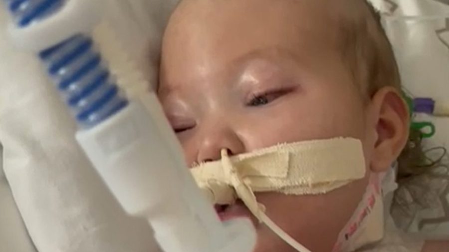 Olívia permanece estável no hospital Albert Einstein e foi descartada morte cerebral