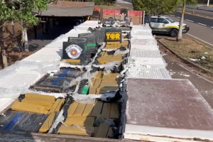 SP apreende 206 toneladas de drogas em 2025 e estima prejuízo de R$ 1 bilhão ao tráfico