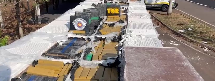 SP apreende 206 toneladas de drogas em 2025 e estima prejuízo de R$ 1 bilhão ao tráfico