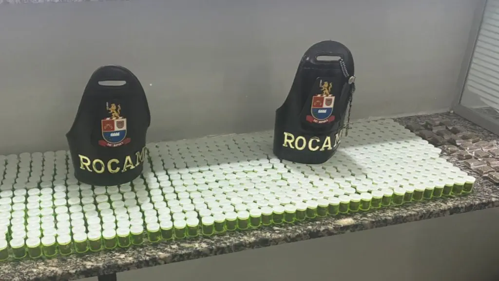 WhatsApp Image 2026-02-12 at 09.00.20