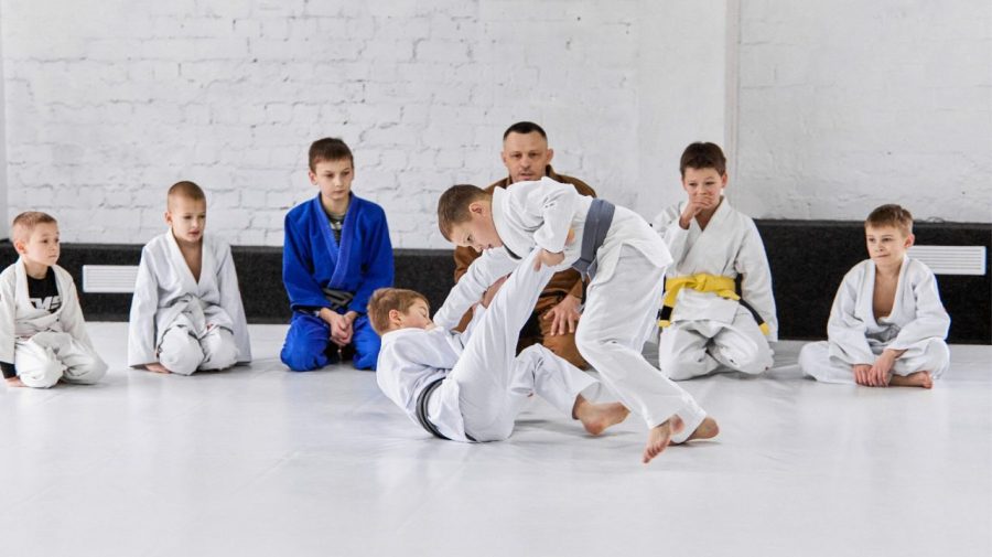 Evento de jiu-jitsu destaca inclusão de crianças com autismo em Limeira