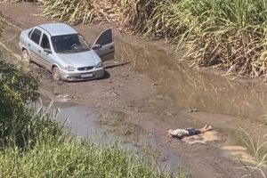 Helicóptero Águia localiza idoso desaparecido em área rural entre Nova Odessa e Sumaré