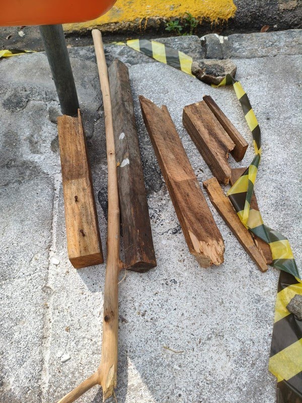 Homens espancam capivara e são presos (1)