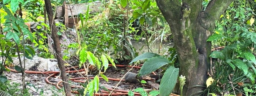 Idoso é encontrado morto em poço de água em Limeira