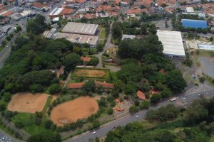 Limeira recebe certificação internacional por políticas de arborização urbana