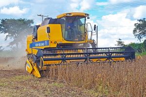 Limeira recebe encontro regional do Programa Município Agro