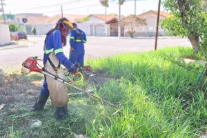 Limeira registra limpeza de 1 milhão de metros quadrados de áreas verdes em 2026