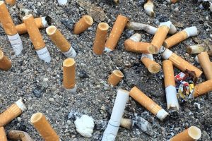 Lixo mais comum do planeta, 4,5 trilhões de bitucas de cigarro são lançadas por ano no mundo