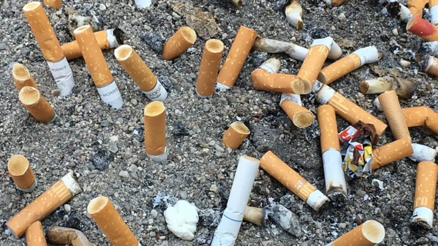 Lixo mais comum do planeta, 4,5 trilhões de bitucas de cigarro são lançadas por ano no mundo