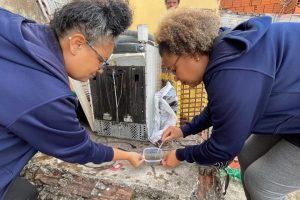Mutirão contra a dengue ocorre em sete bairros de Limeira neste sábado