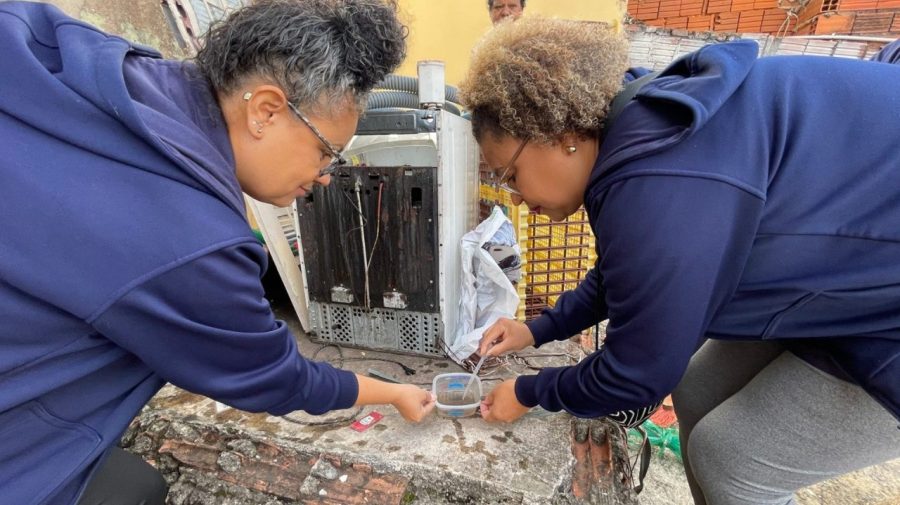 Mutirão contra a dengue ocorre em sete bairros de Limeira neste sábado