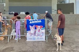 Parque Cidade recebe evento de adoção de cães e gatos neste sábado