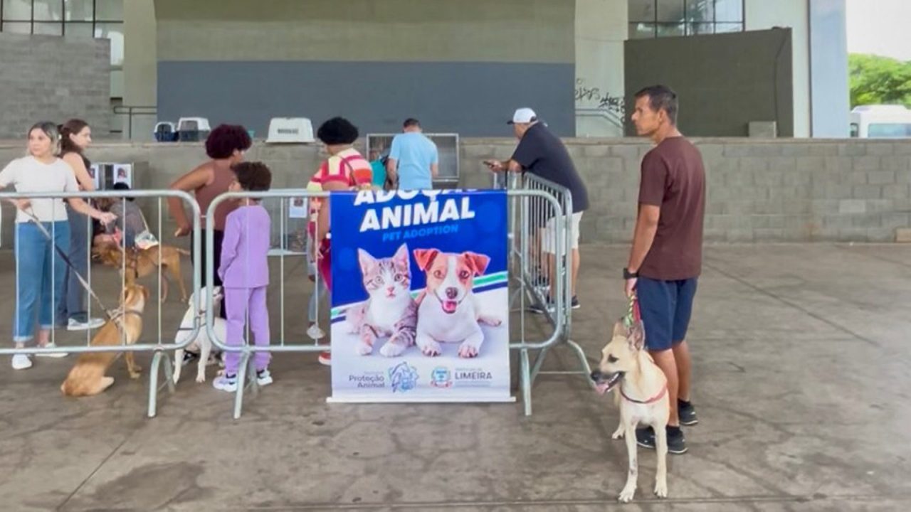 Parque Cidade recebe evento de adoção de cães e gatos neste sábado