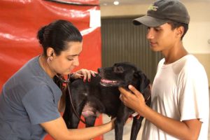 Parque Cidade recebe mutirão de castração gratuita nos dias 21 e 22; veja como agendar