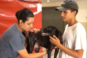 Parque Cidade recebe mutirão de castração gratuita nos dias 21 e 22; veja como agendar