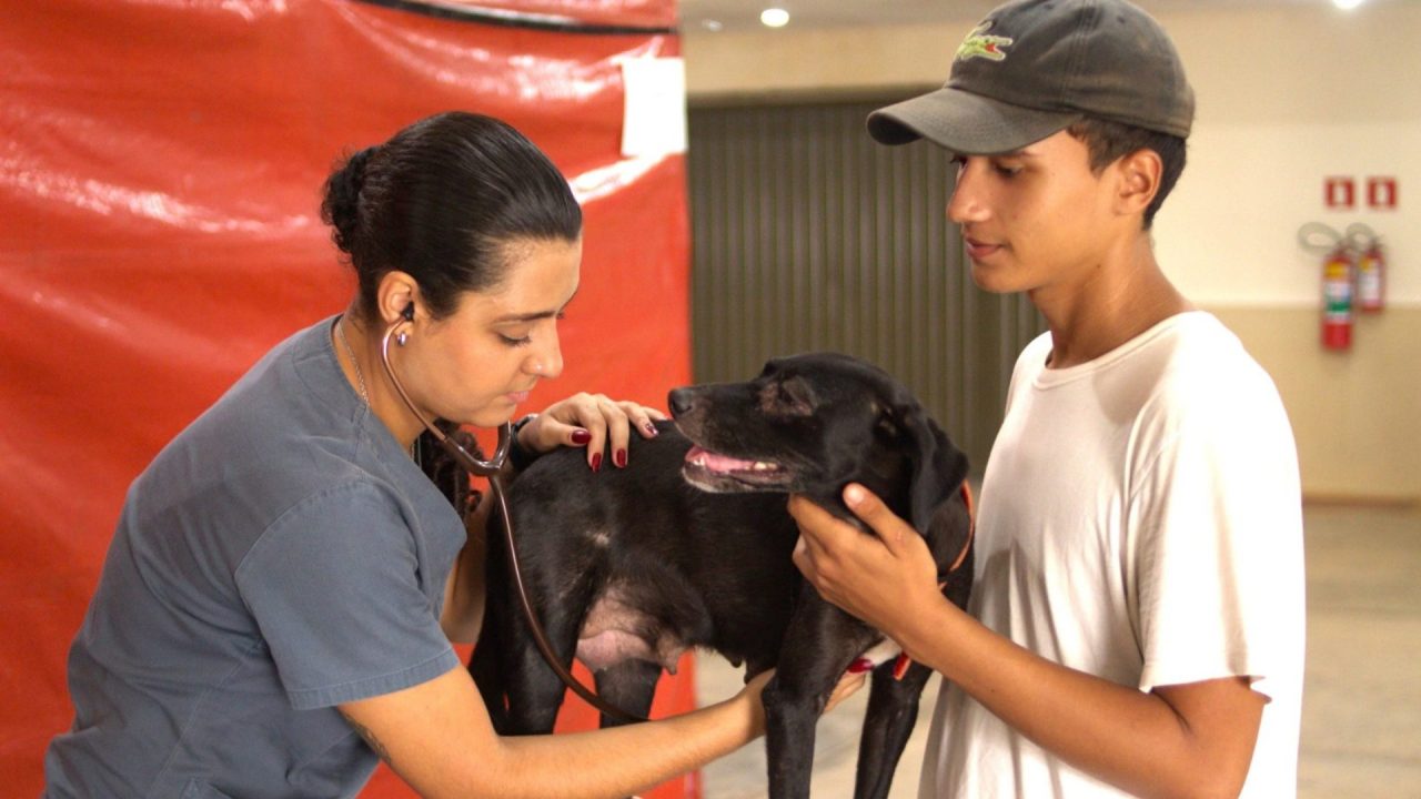 Parque Cidade recebe mutirão de castração gratuita nos dias 21 e 22; veja como agendar
