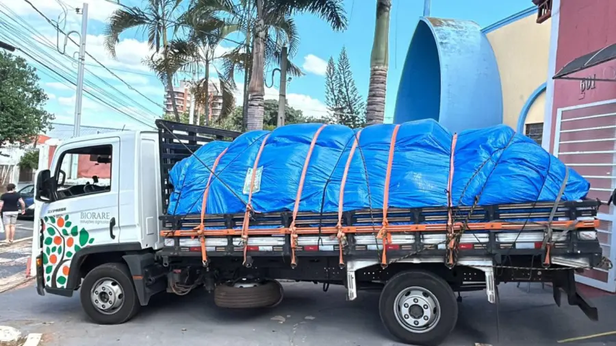 Juiz de Fora Solidária: Campanha arrecada doações para ajudar vítimas das chuvas em Minas Gerais