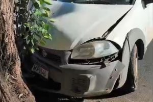 carro bate em árvore