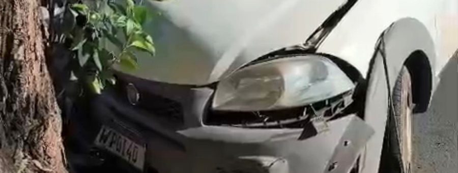 carro bate em árvore