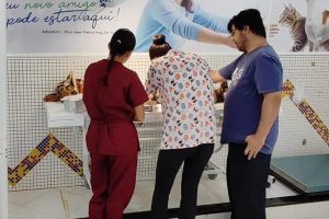 Clínica pública amplia atendimentos veterinários gratuitos em Limeira