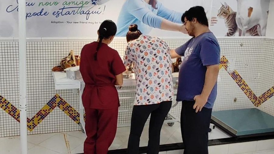 Clínica pública amplia atendimentos veterinários gratuitos em Limeira