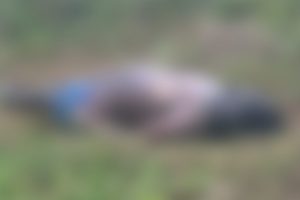 Corpo de homem é encontrado em área verde nos Pires