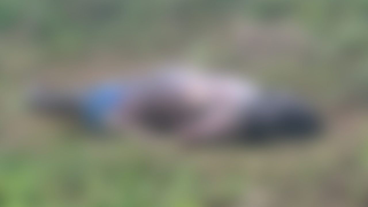 Corpo de homem é encontrado em área verde nos Pires