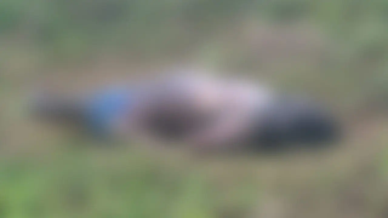 Corpo de homem é encontrado em área verde nos Pires