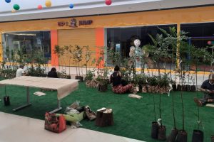 Limeira Shopping recebe distribuição gratuita de mudas nesta quinta e sexta