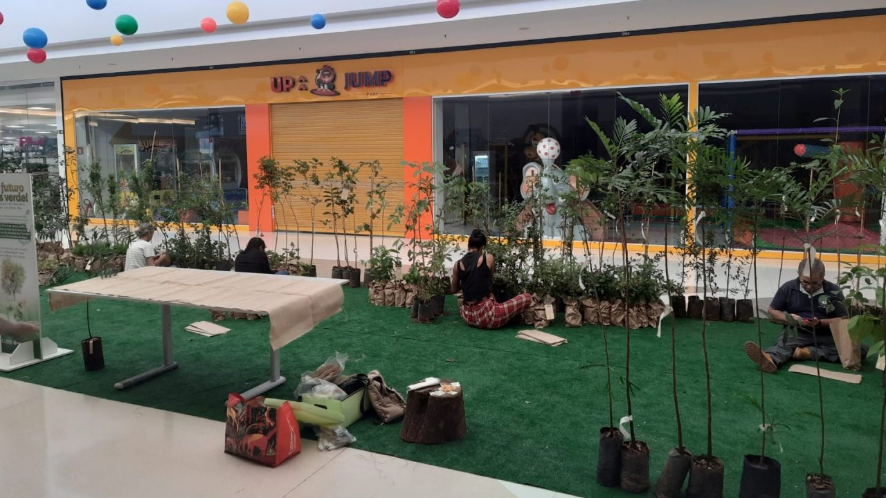 Limeira Shopping recebe distribuição gratuita de mudas nesta quinta e sexta