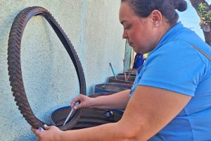 Limeira registra queda de 98 porcento nos casos de dengue no 1 trimestre de 2026