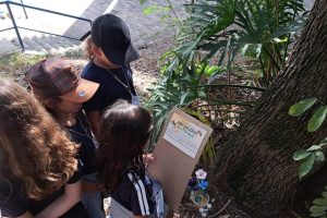 Oficina sobre abelhas reúne alunos com altas habilidades em Limeira