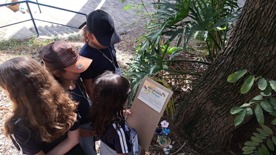 Oficina sobre abelhas reúne alunos com altas habilidades em Limeira