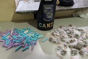 Canil da GCM apreende drogas em área verde do Residencial Olindo de Lucca