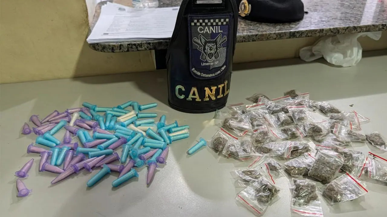 Canil da GCM apreende drogas em área verde do Residencial Olindo de Lucca