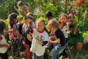Centro Infantil de Limeira se destaca com horta pedagógica do projeto “Semeadores do Futuro”