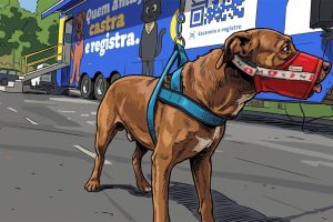 Clínica veterinária municipal realiza 334 consultas em primeiro mês em Limeira