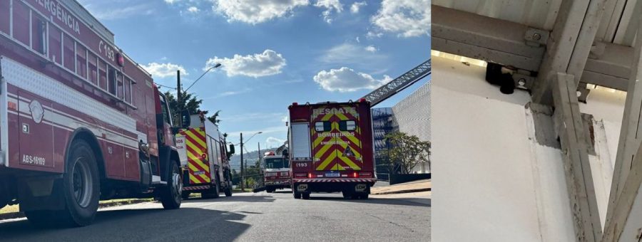 Gato preso em telhado do Sest Senat mobiliza bombeiros em Limeira