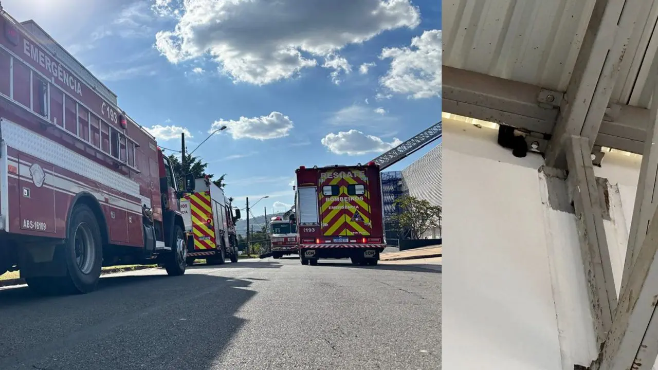Gato preso em telhado do Sest Senat mobiliza bombeiros em Limeira