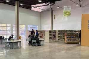 Jovens impulsionam preferência por obras infantojuvenis e lideram empréstimos nas bibliotecas de Limeira