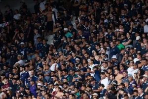 Líder Palmeiras enfrenta Remo em Belém após 33 anos Confira o retrospecto dos confrontos da 15ª rodada do Brasileirão