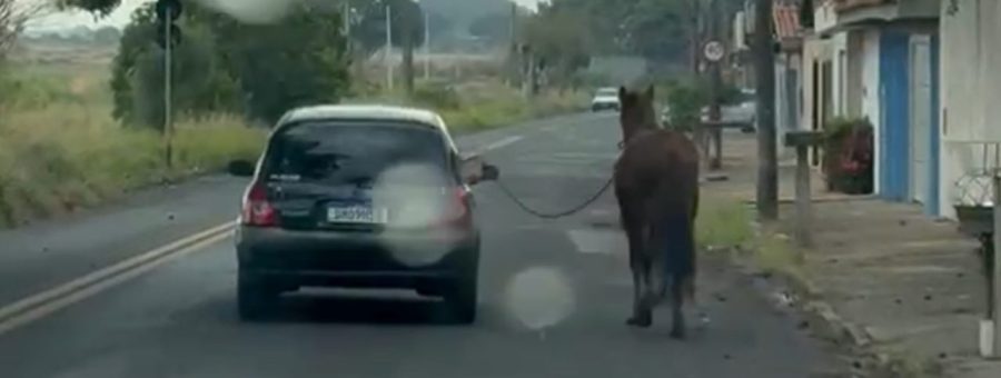 Motorista é flagrado puxando cavalo com corda no Aeroporto, em Limeira