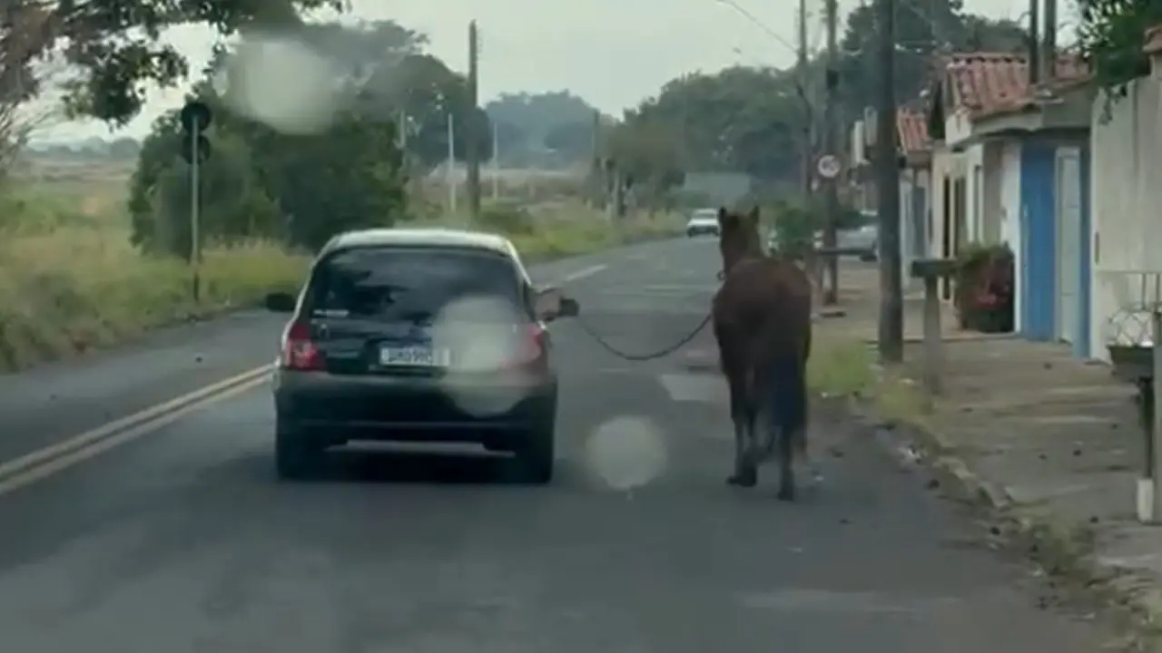 Motorista é flagrado puxando cavalo com corda no Aeroporto, em Limeira