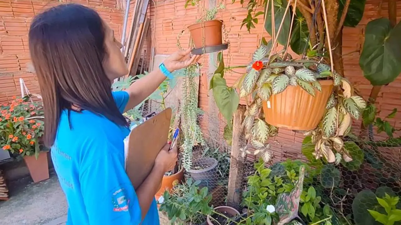 Mutirão contra dengue será realizado na Vila Queiroz em Limeira