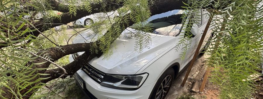 Tronco de árvore cai em carro no Centro de Limeira