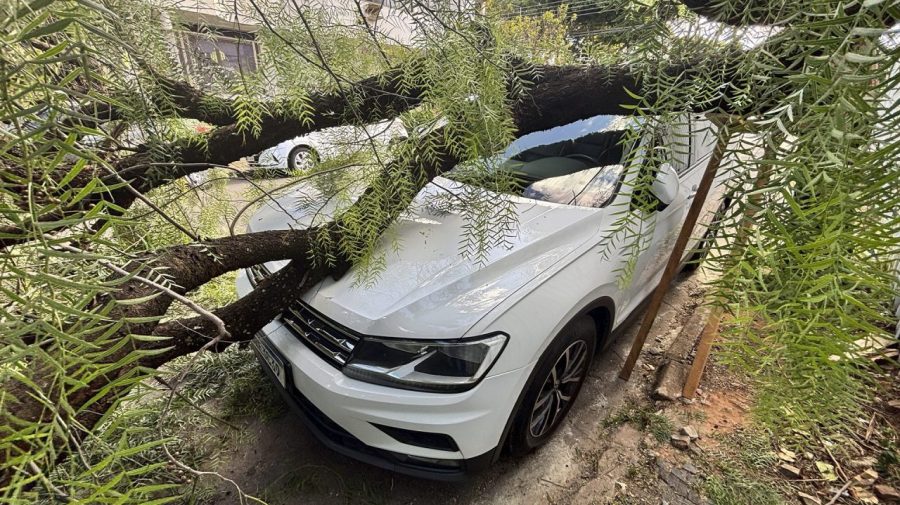 Tronco de árvore cai em carro no Centro de Limeira