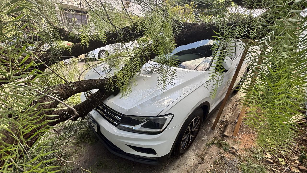 Tronco de árvore cai em carro no Centro de Limeira