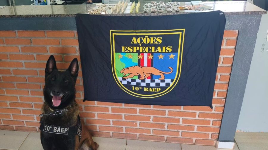 BAEP apreende drogas e detém suspeitos por tráfico no João Ometto, em Limeira